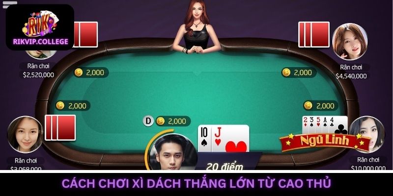 Bật mí cách chơi xì dách hữu ích từ cao thủ