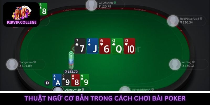 Nắm rõ thuật ngữ cơ bản khi tìm hiểu cách chơi bài poker