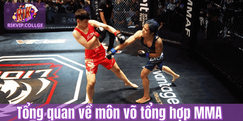 Tổng quan về môn võ tổng hợp MMA