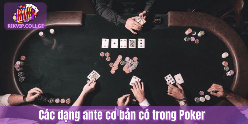 Các dạng ante cơ bản có trong Poker