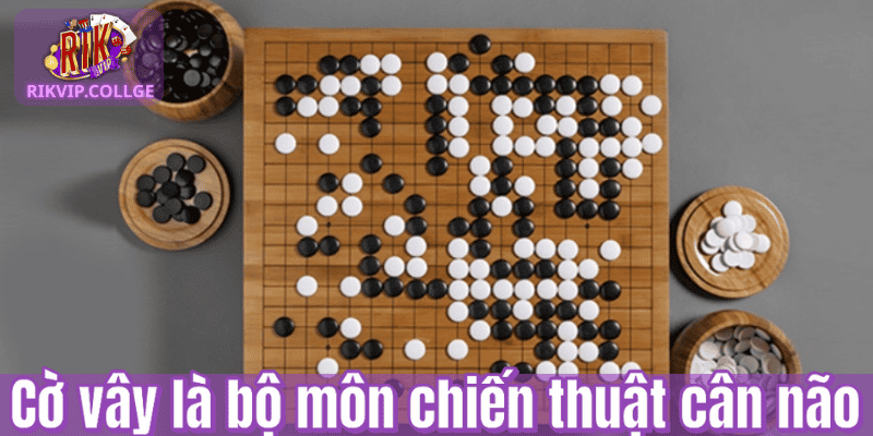 Cờ vây là bộ môn chiến thuật cân não