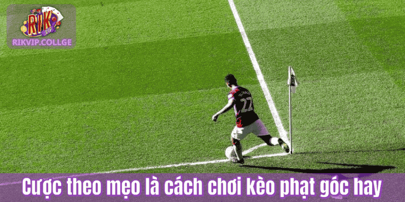 Cược theo mẹo là cách chơi kèo phạt góc hay